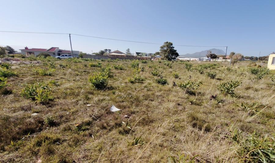 0 Bedroom Property for Sale in Fisherhaven Western Cape